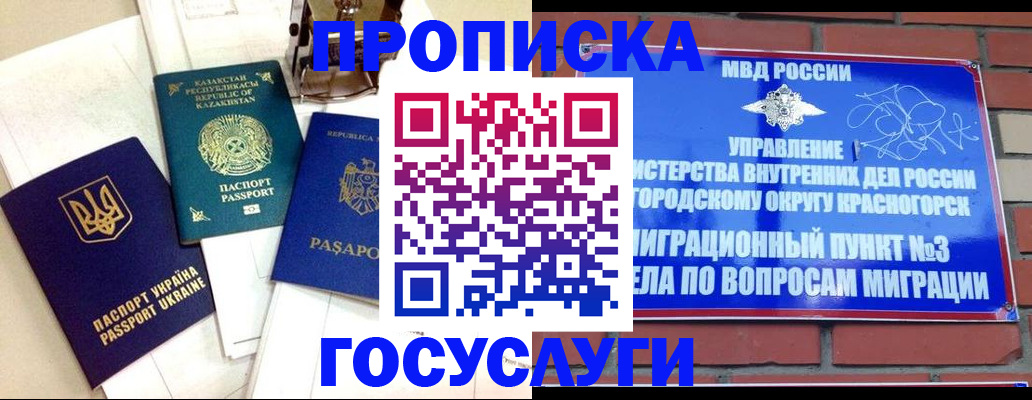 купить прописку в Мурманской области